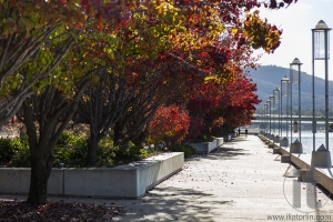 Autumn colours. Embankment of Burley Griffin Lake near National Gallery. Canberra. Australia