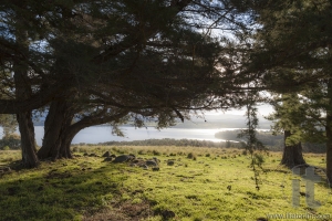 Landscape with lake Coila in the background. Bingie. Nsw. Australia.