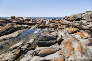 Rock pool near Bingi Bingi pount. Bingie (near Morua) . NSW. Australia