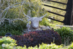 Sculpture of Zeus-bull with trident in his hand. Bingie. Nsw. Australia.