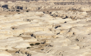 Landscape in Judean desert. Israel.