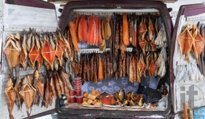 Smocked fish for sale from back of a van. Smolensk highway. Russia.