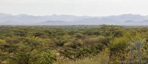 African landscape. Mago National Park. Ethiopia.