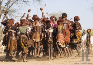 Group of Hamar women dance at bull jumping ceremony.