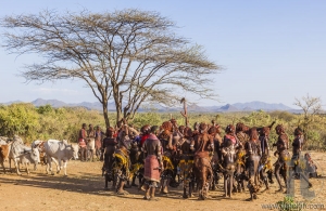 Group of Hamar women dance at bull jumping ceremony.