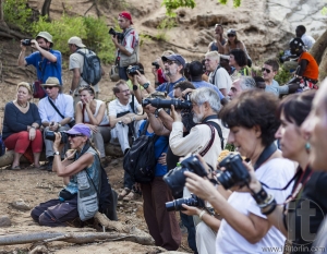 Tourists take pictures of preparation for bull jumping ceremony.