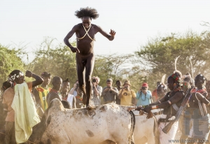 Young man jumps of the bulls.