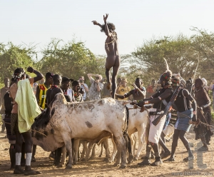 Young man jumps of the bulls.