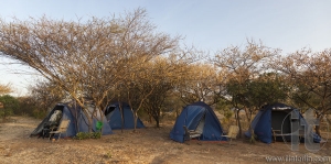 Tent camp under a small tries. Near Turmi. Ethiopia