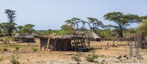 Traditional tsemay houses. Small village in tsemay territory near Weita. Omo Valley. Ethiopia.