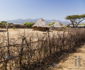 Traditional tsemay houses. Weita. Omo Valley. Ethiopia.
