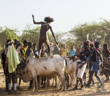 Young man jumps of the bulls.
