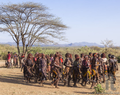 Group of Hamar women dance at bull jumping ceremony.