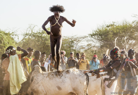 Young man jumps of the bulls.