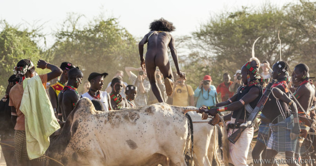 Young man jumps of the bulls.