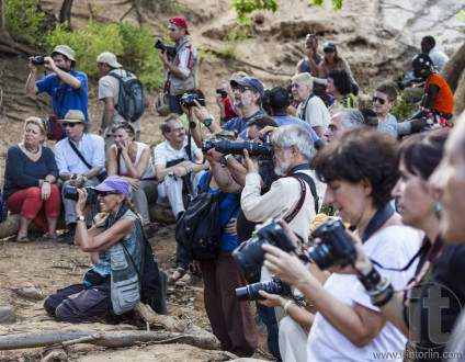 Tourists take pictures of preparation for bull jumping ceremony.