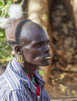 Traditionally dressed Hamar man with chewing stick in his mouth.