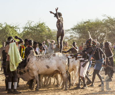 Young man jumps of the bulls.