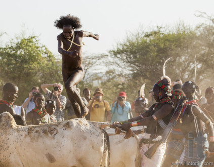 Young man jumps of the bulls.