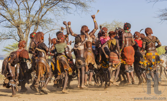 Group of Hamar women dance at bull jumping ceremony.