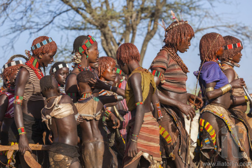 Group of Hamar women dance at bull jumping ceremony.