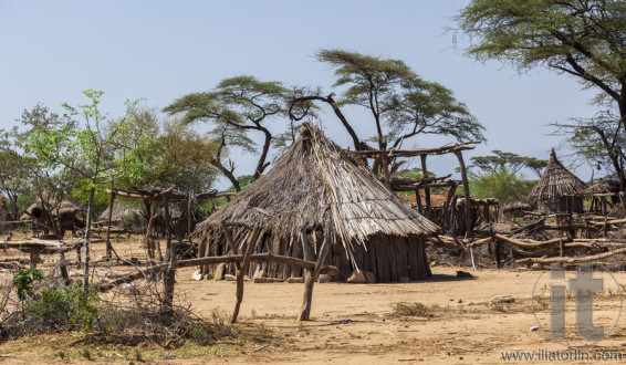 Traditional tsemay houses. Small village in tsemay territory near Weita. Omo Valley. Ethiopia.