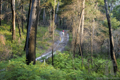 Bushwalking in Booderee National Park. NSW. Australia