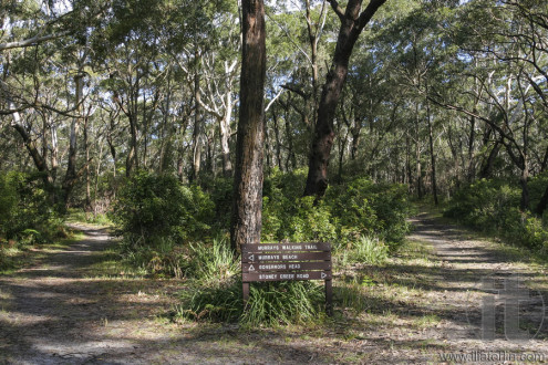 Bushwalking in Booderee National Park. NSW. Australia