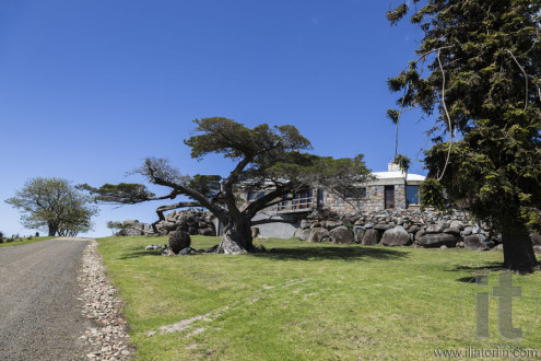 Huge trees and country house Bingie (near Morua) . NSW. Australia