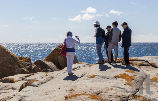 Woman takes photo of a family at Bingi Bingi pount. Bingie (near Morua) . NSW. Australia