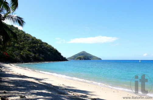 Australia, Whitsundays. South Mole Island.