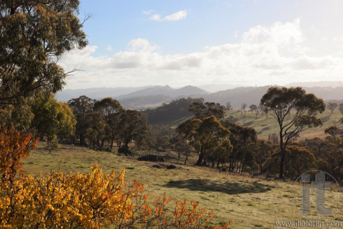 Autumn colours in countryside tablelands near Oberon. NSW. Australia.