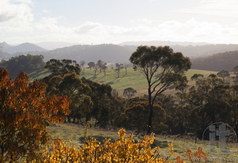 Autumn colours in countryside tablelands near Oberon. NSW. Australia.
