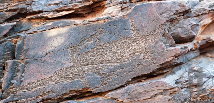 Chambers Gorge aboriginal engraving site. Flinders Ranges. South Australia