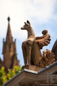 Gargoyle near St. Mary's Cathedral in Sydney. Australia.