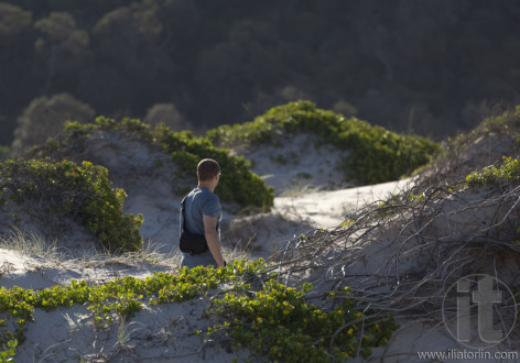 Man walks on sand dunes. Fingal Bay. Port Stephens. Australia.