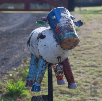Roadside letter box. Country NSW. Australia.