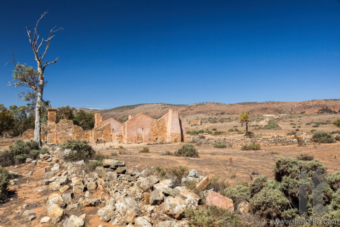 Ruins of abandon Kanyaka homestead. Flinders Ranges. South Australia.