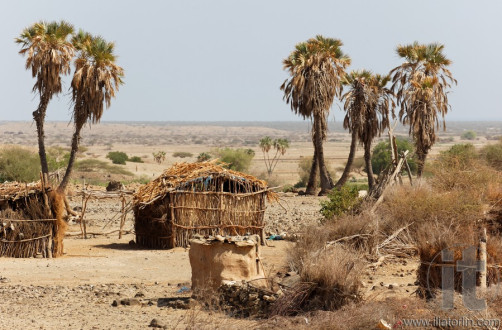 Around Massawa and Adulis. Eritrea. Africa.