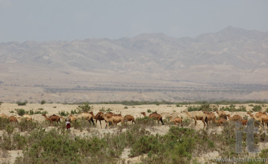 Around Massawa and Adulis. Eritrea. Africa.