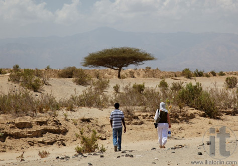 Around Massawa and Adulis. Eritrea. Africa.