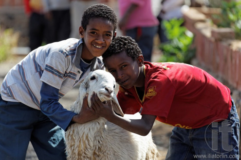 Asmara. Eritrea. Africa.