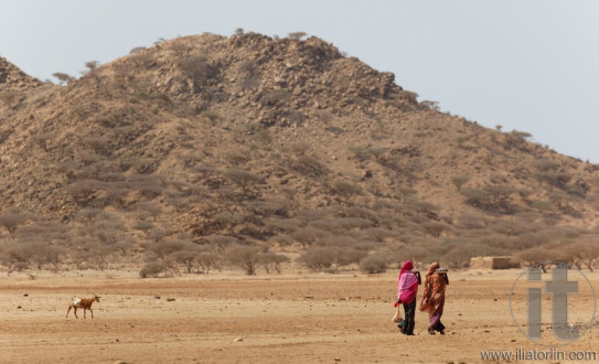 Dahlak archipelago (islands). Eritrea. Africa.