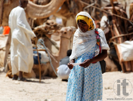 Monday Camel and wood Market. Keren. Eritrea. Africa