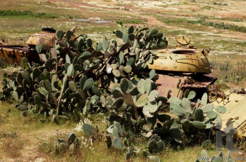 Tank Graveyard (Cemetery). Asmara. Eritrea. Africa.