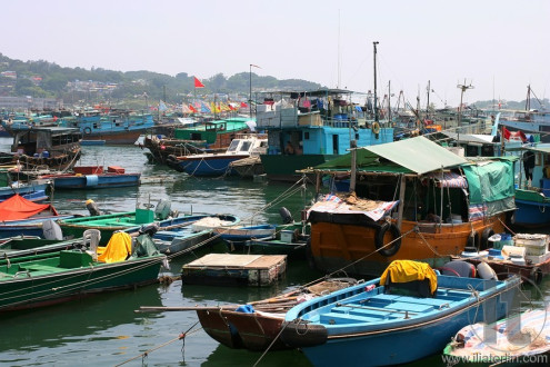 Fishing and house boats anchored in Cheung Chau harbour. Hong Kong.