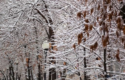 One of Moscow's boulevards after heavy snowfall. Moscow. Russia.