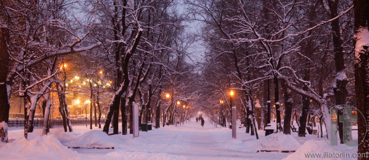 Winter evening. Moscow. Russia.