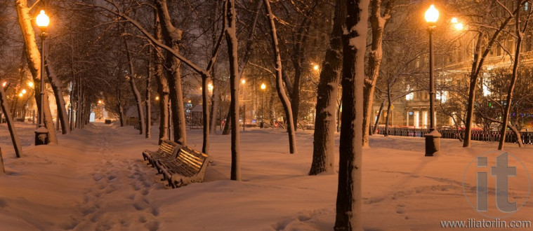 Winter evening. Moscow. Russia.