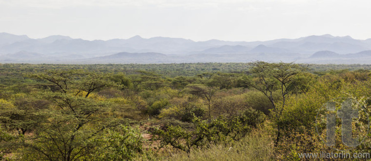 African landscape. Mago National Park. Ethiopia.